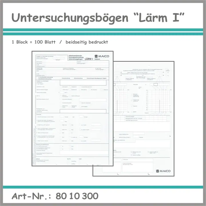 Untersuchungsbögen Lärm I